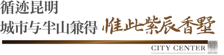 紫辰香墅 盛世启幕——昆明主城芯·惟此81席鉴藏级别墅