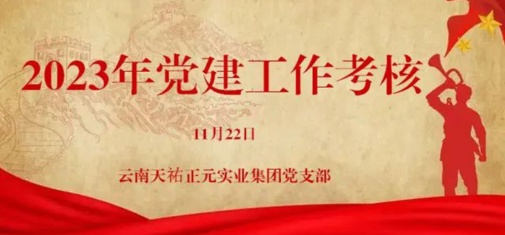 云南省非公党委考核云南天祐正元实业集团党支部2023年度党建工作